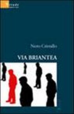 Via Briantea Nero Cristallo