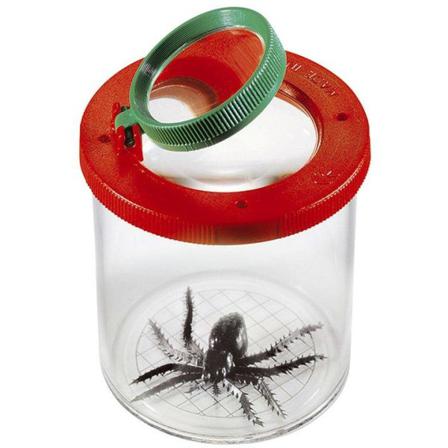 Luppburk, Insektsburk - Kalikå