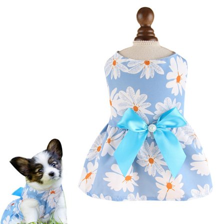 Sød hundekjole i lyseblå med margueritkrave og sød sløjfe på ryggen