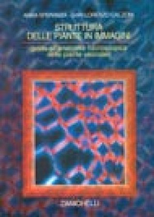 Struttura delle piante in immagini. Guida all'anatomia microscopica delle piante vascolari Gian Lorenzo Calzoni