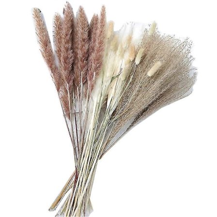 90 stk. 43 cm Naturlig Tørret Pampasgræs Dekoration, hvid & brun Pampas, til Blomsterarrangementer Boho Bryllup