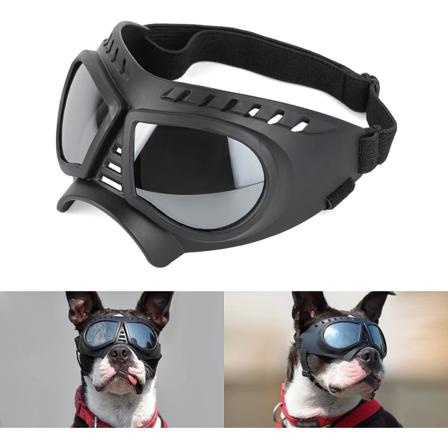Hundesolbriller Goggles Enkle å ha på Hundesolbriller Motorsykkelbriller for små/middels hunder