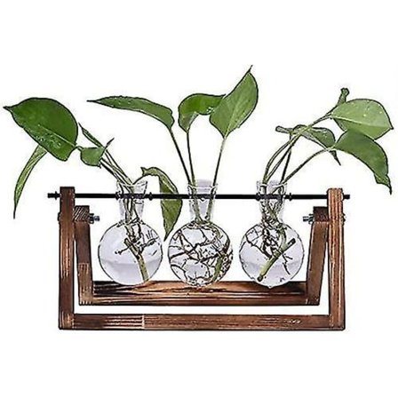 Glass Planter Bulb Vase med trestativ og metallholder for skrivebord