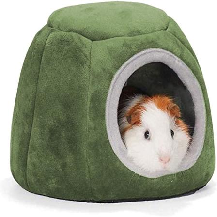 Grønn marsvin seng marsvin leke hamster leke marsvin hus