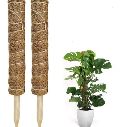 Mosestokk, 2 stk 40 cm Monstera klatrestøtte, utvidbar naturlig KLB