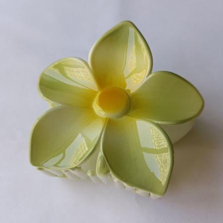 Feriemode Bauhinia Hårspænder Blomst Stort Hår Klo Hai A4