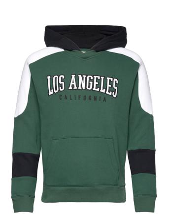 Hco. Guys Sweatshirts Hoodie Multi/mönstrad Hollister