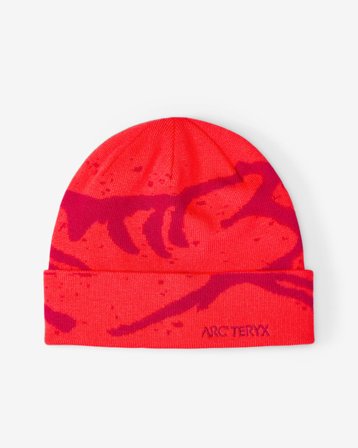 - GROTTO TOQUE - DYNASTY