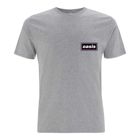 Oasis Unisex Adult Lines T-Shirt XXL Grå