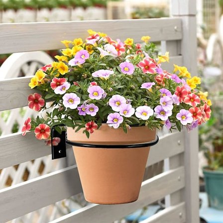 6 stk. vægmonteret blomsterpotte 11 cm blomsterpotteholder vægring blomsterpotteholder vægmonterede planter vægmonteret planteholder væg til hjem have