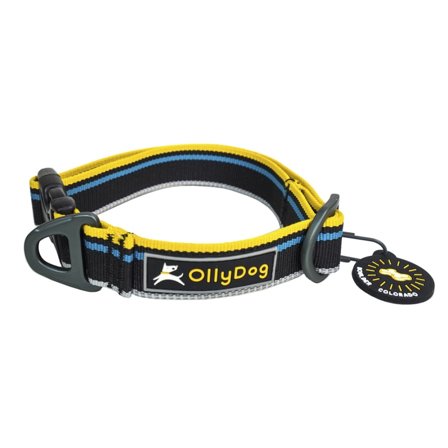 OllyDog Urban Trail Reflective Collar Dog Harnesses & Dog Collars Black M
