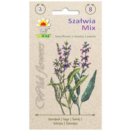 Salvia Mix siemenet - värikäs monivuotinen kasvi, jolla on lääkinnällisiä ominaisuuksia