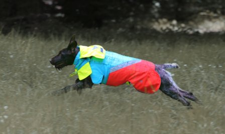 Mikael Tham Tuskproof Wolf v.5 Orange S