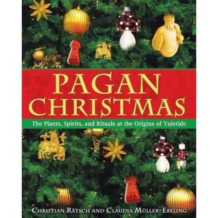 Pagan Christmas 9781594770920