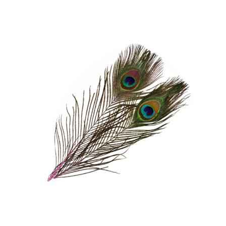 Frödin SNS Peacock Eye Feathers - Evil Magenta