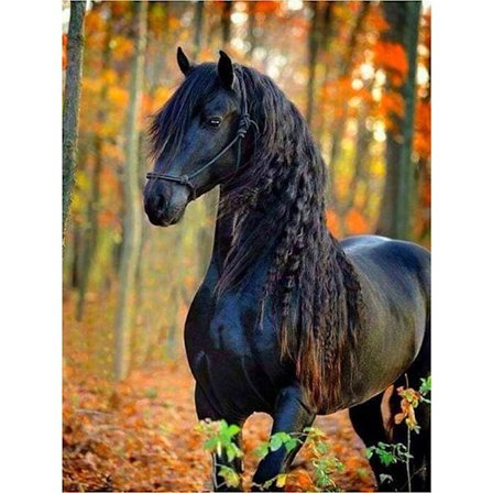 30x40cm 5D DIY Diamantmaleri Fuld, Dyr Hest Gruppe Fuld Cirkel
