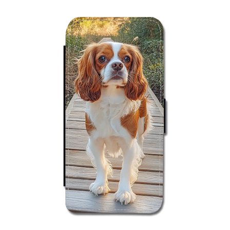 Hund Cavalier King Charles Spaniel iPhone 7/iPhone 8 Flip Mobilfodral