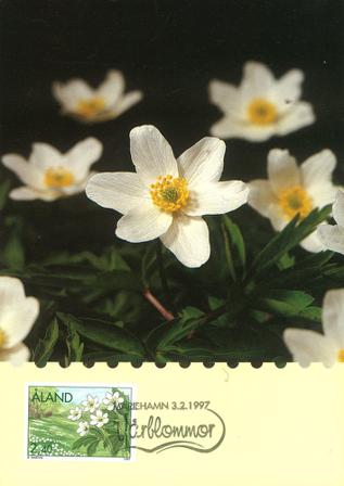 Åland 1995 - LAPE nr. A22 - Forårsblomster