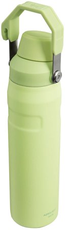 Stanley IceFlow Water Bottle Fast Flow 0,6 L Citron, Sport & Velvære, Drikkedunke & Shakers, Drikkedunke