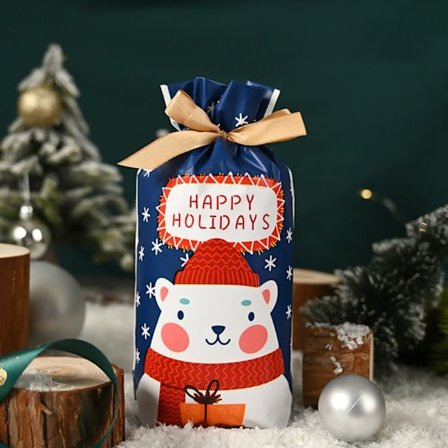 50st Xmas Godispåsar Kexpåsar 6 6