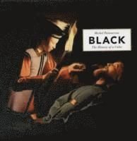 Black: The History of a Color, ISBN: 9780691139302