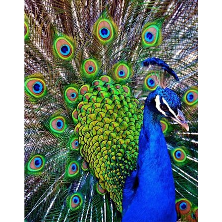 30 x 40 cm, Diamantmålning Broderi Diamantmålning Canvas 5