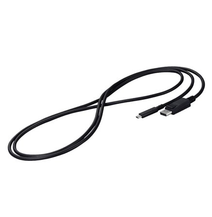 EIZO Displayport Cable 2 M Usb C