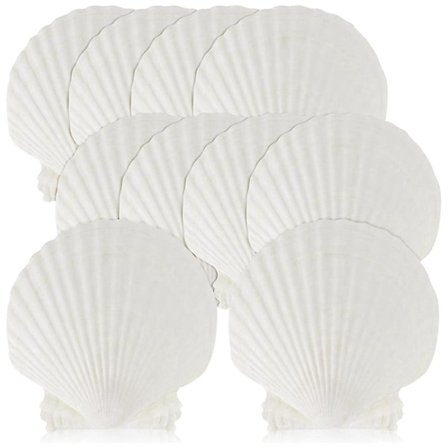 15 kpl luonnollisia meren simpukoita suuria valkoisia, 10-12 cm kampasimpukoita tee-se-itse-askarteluun, ruoan tarjoiluun, leivontaan-LP-