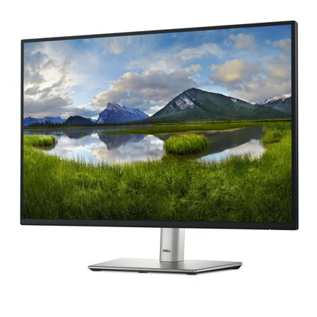 DELL P2425 - LED-skjerm - 24"