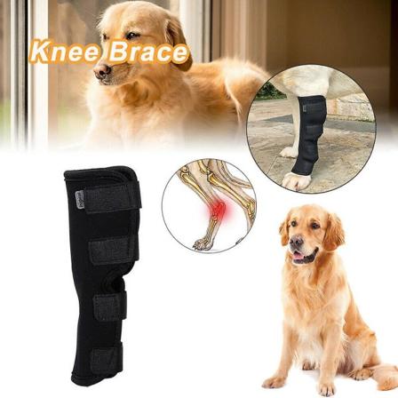 Dog Ben Brace Hund Canine Hock Joint Wrap Skyddar Kompressionsbøjle Ærme