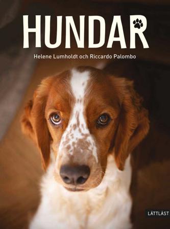 Hundar - Bok av Helene Lumholdt - Inbunden