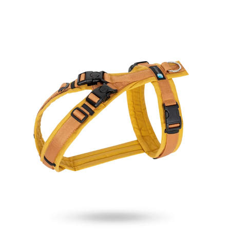 Anny-X - Anny-X Open Fun Hundsele Forsythia - Hundsele