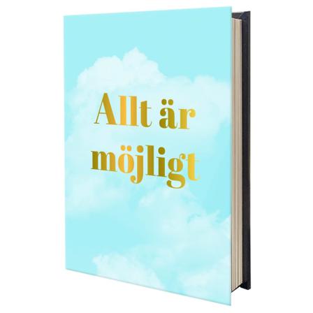 Allt är möjligt 9789179851293