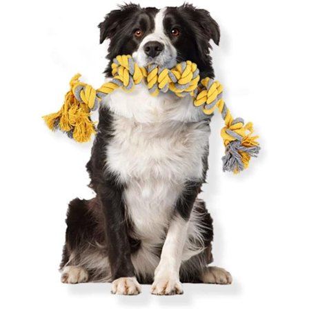 Næsten uforgængeligt hundelegetøj til mellemstore og store hunde, interaktivt