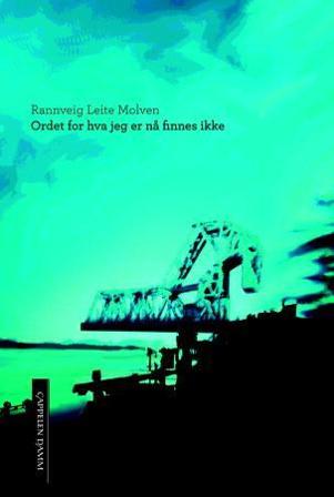 Ordet for hva jeg er nå finnes ikke - Bok av Rannveig Leite Molven - Hardback