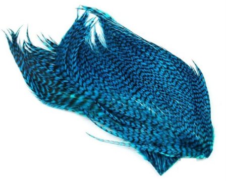 Whiting Bugger Pack - GD/Kingfisher Blue