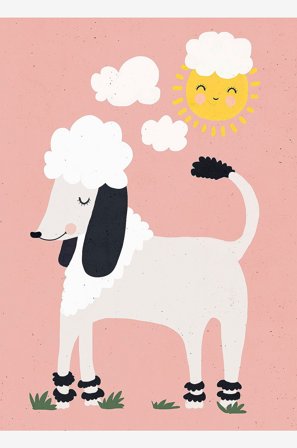Pelcasa - Poster Happy Poodle - Rosa - Postere & bilder - Fra Homeroom