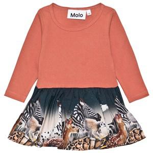 Molo Under The Stars Candi Dress 74 cm (6-9 Months) - Dresses - 74 cm (6-9 Months) - Brown