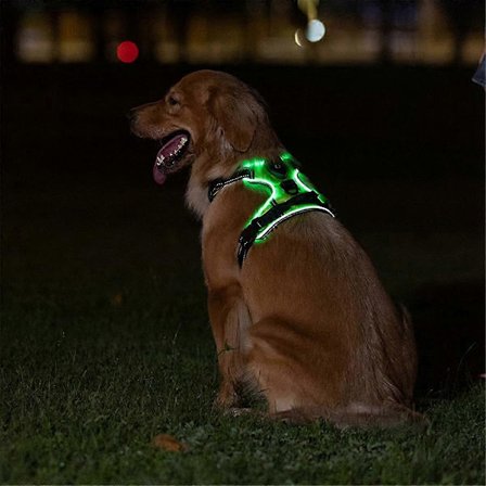 Lysande Selar för Husdjur Lysande Hundsele Justerbar Lysande Bröstrem för Husdjur M
