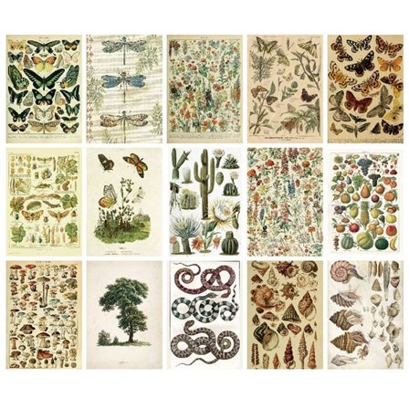 Scrapbookingpapper Everything Comes Back to Life – 30 ark med naturmotiv