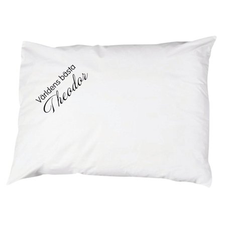 Världens bästa Theodor Örngott