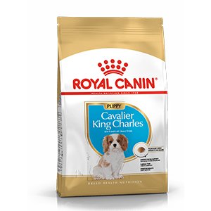 Royal Canin Cavalier King Charles Puppy 1,5 kg