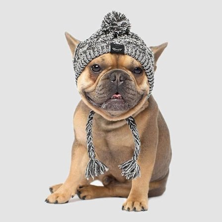 Vinterhundmössa,varm Pet Pompom Stickad Mössa Varm Pet Stickad Snood Huvudbonad med öronhål För medelstora hundar Fransk Bulldog