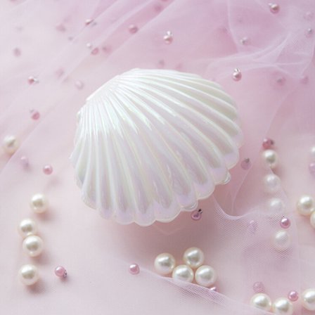 Shell Ring Halskæde Øreringe Smykker Opbevaring Organizer Box Case