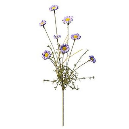 Dekorationer Fugle Solfangere Husnummer Vedhæng Håndværk Akryl Kolibri Farvet Kardinal Væghængende Glas Farve (Lilla)