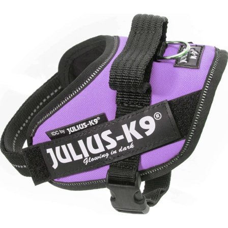 Julius-K9 Idc Harness Mini-Mini Dog Harnesses & Dog Collars Purple Mini-Mini
