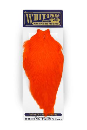 Whiting American Rooster Cape White dyed Orange