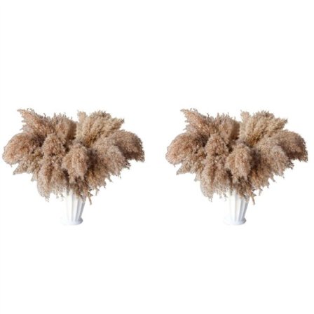 60 Stilker Tørket Pampasgress, Blomstergress, 43 cm Bulk Dekorblomster Tørkede Planter