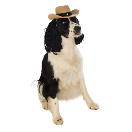 Bristol Novelty Cowboyhatt Hundkostym M-L Kräm/Svart
