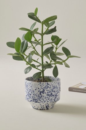 Jotex - Potte, Diameter 21,5 Cm Hvit/blå - BELLA - Kjøp Krukker hos Jotex